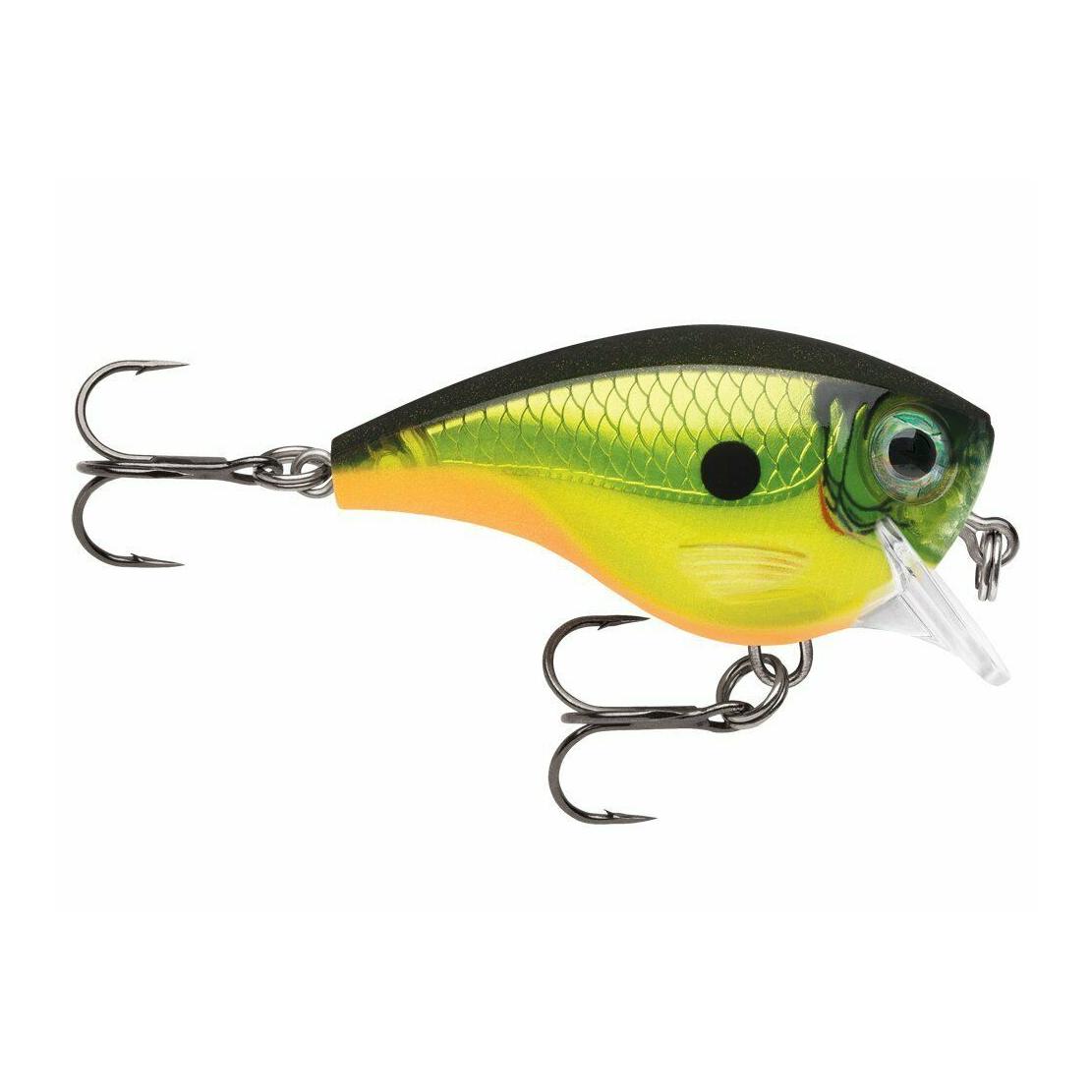 Homer's Buddy