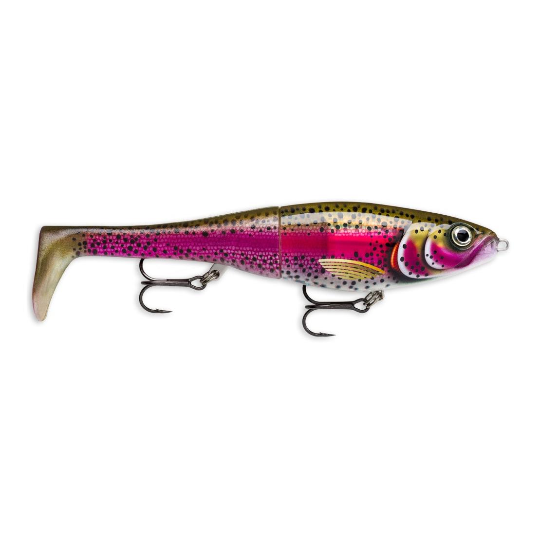 Live Rainbow Trout