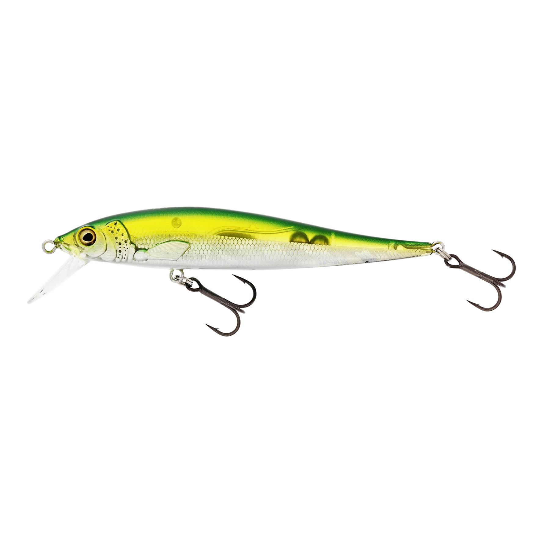 Olive Minnow