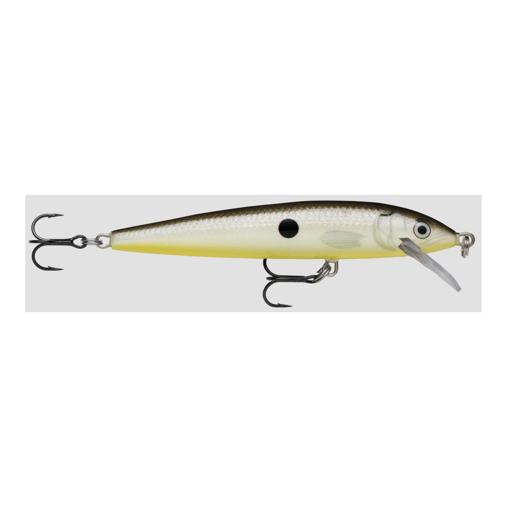Glow Grey Shiner