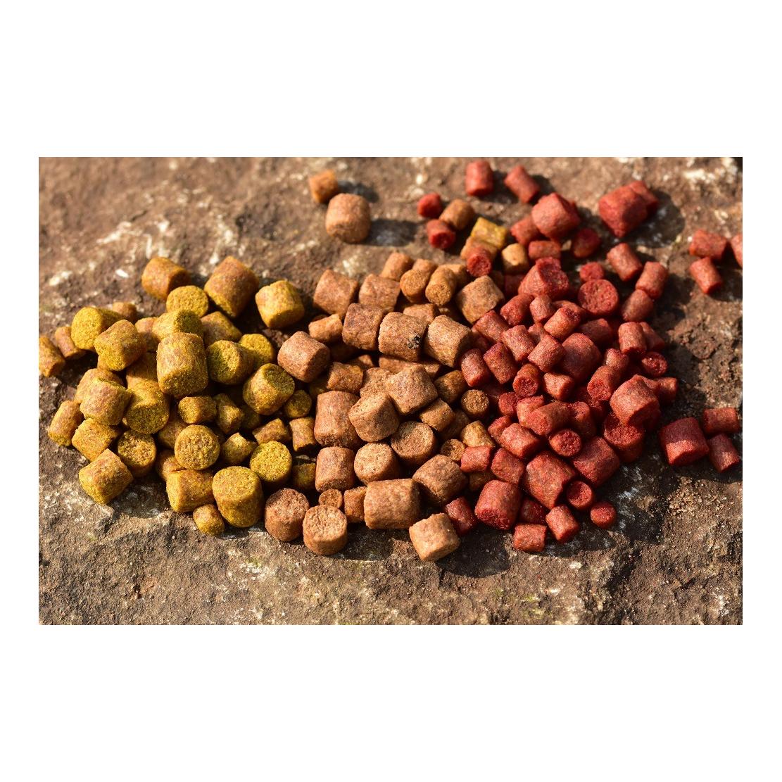 Big Fish River Feed Pellets Cheese & Garlic - Pellets - Produktbild 3