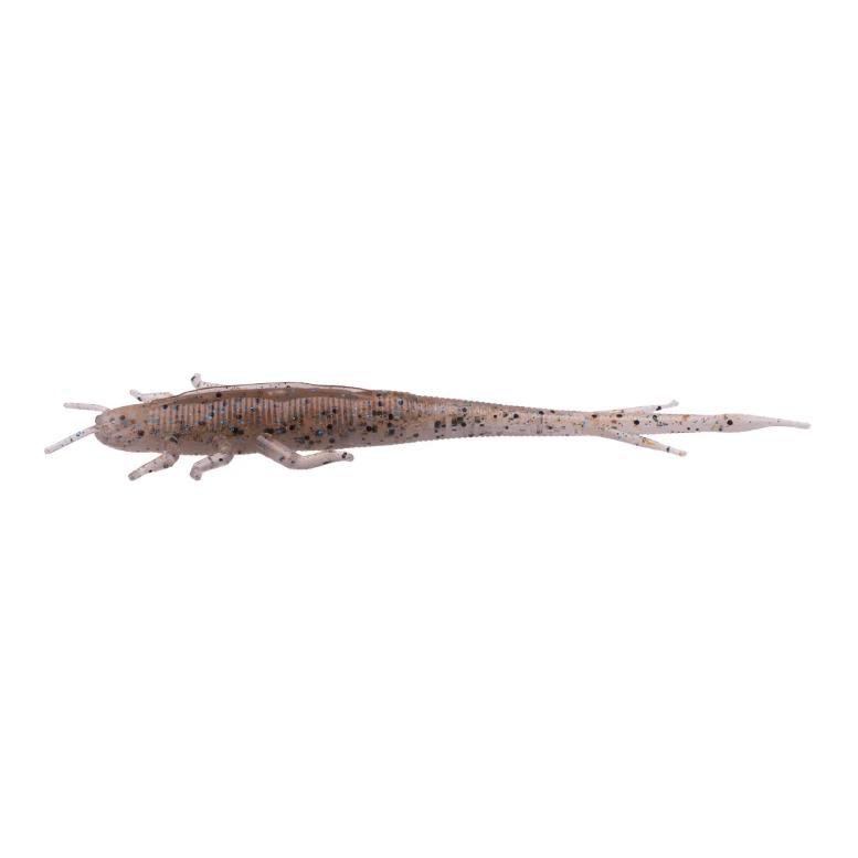 Ghost Shrimp