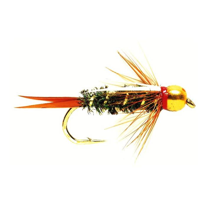 Gold Nugget Prince - Nymphe - Produktbild 1
