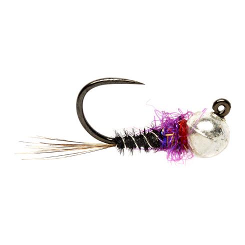 Purple Nasty o.W. - Nymphe