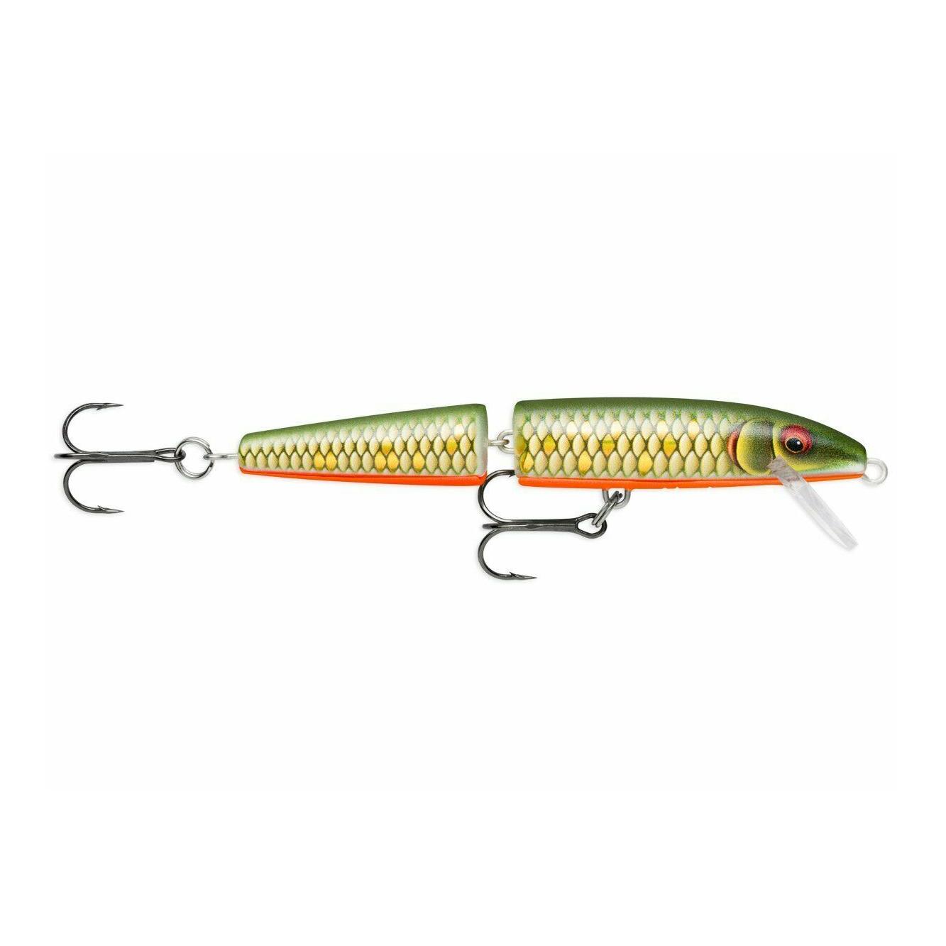 Scaled Roach