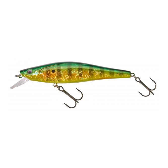 Fire Gold Perch