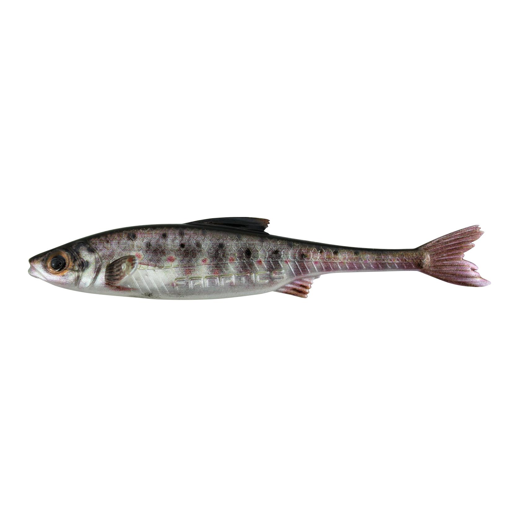 Real Rider Fish Tail - Gummiköder - Produktbild 1