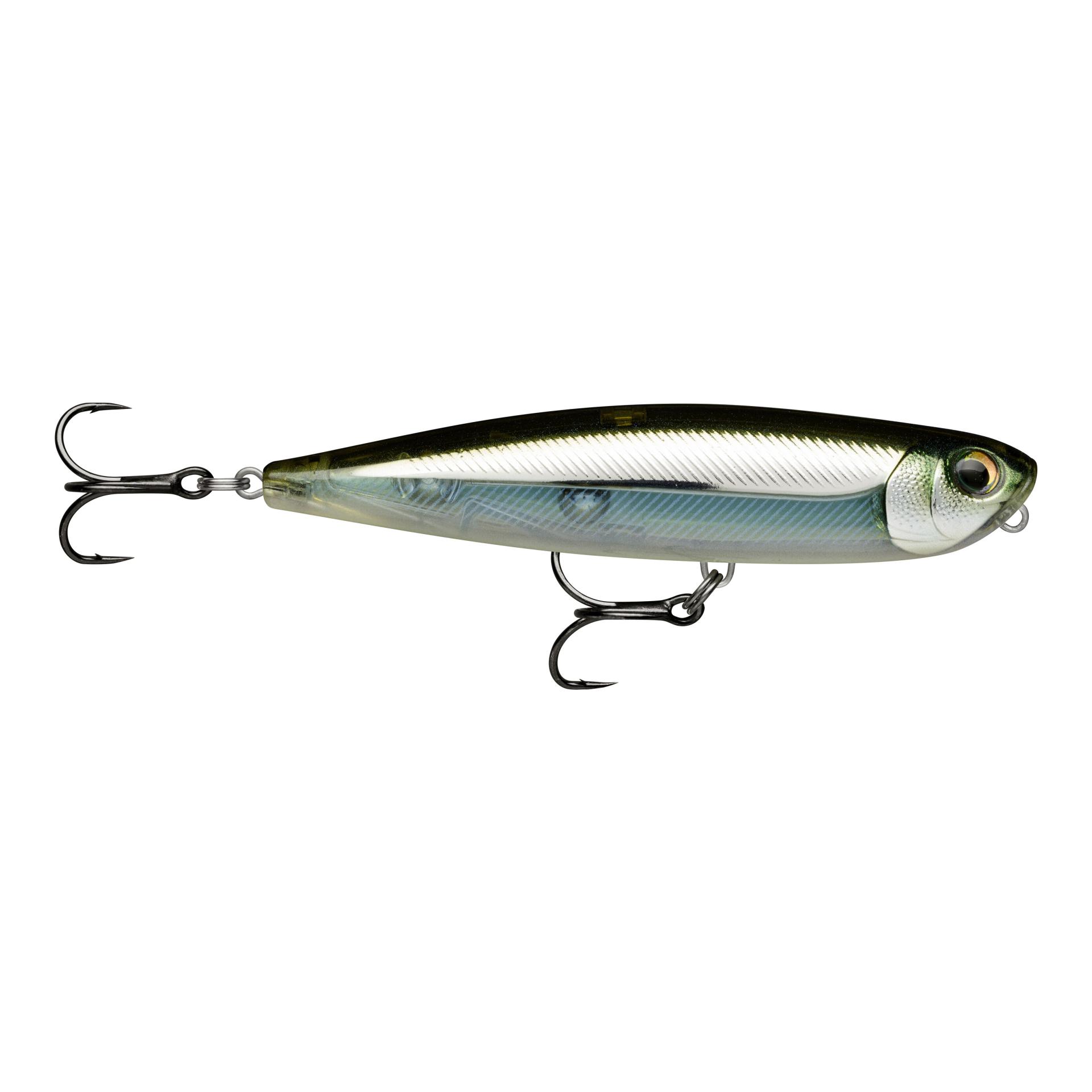 Moss Back Shiner