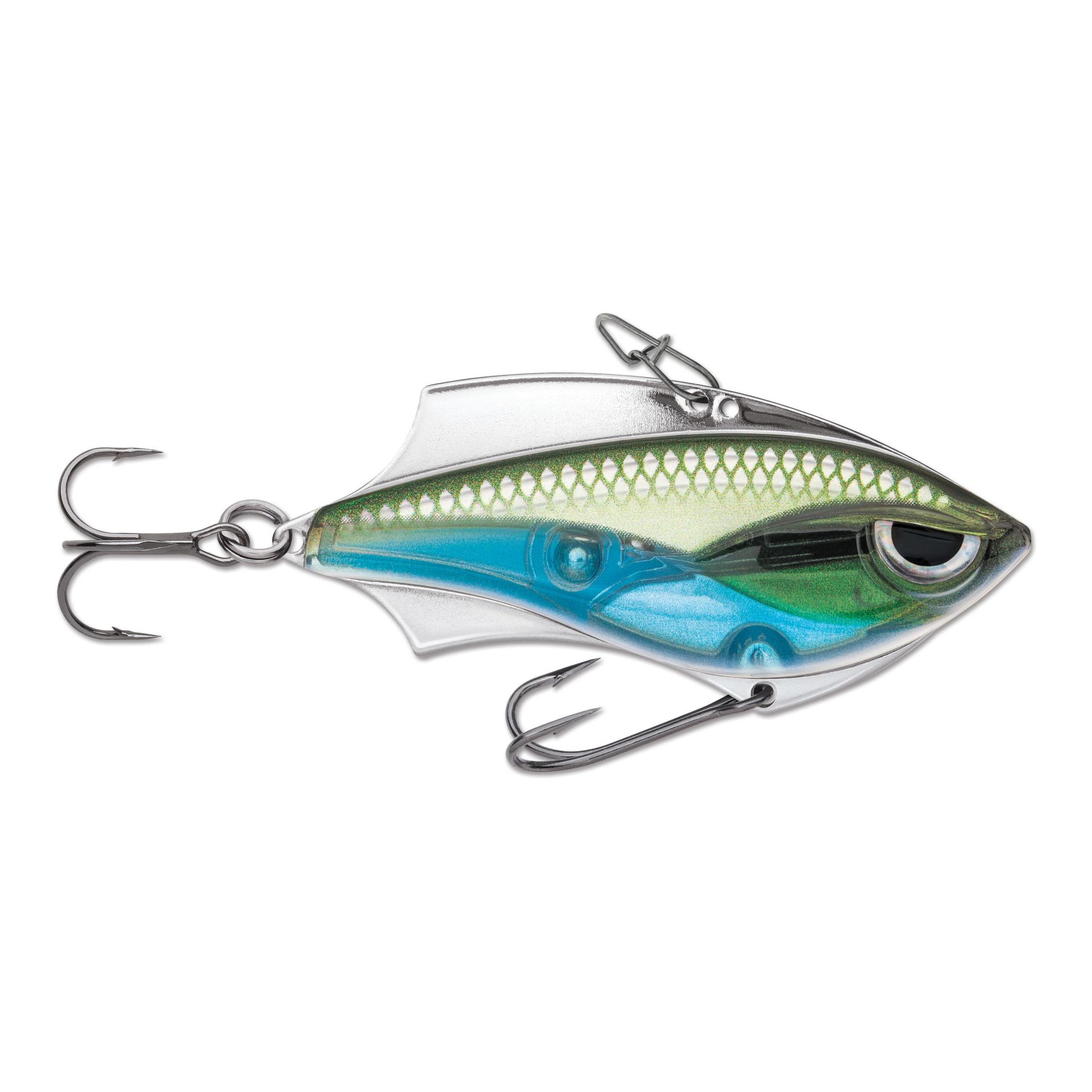 Moss Back Shiner