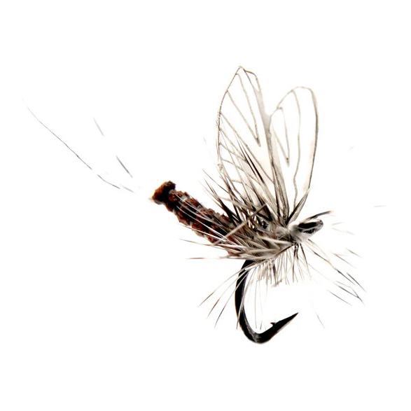 J:son Mayfly Dun - Trockenfliege