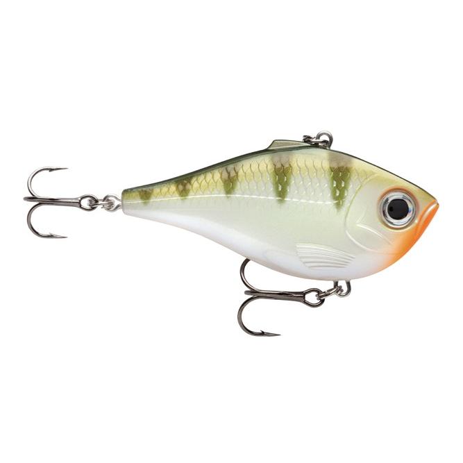 Yellow Perch