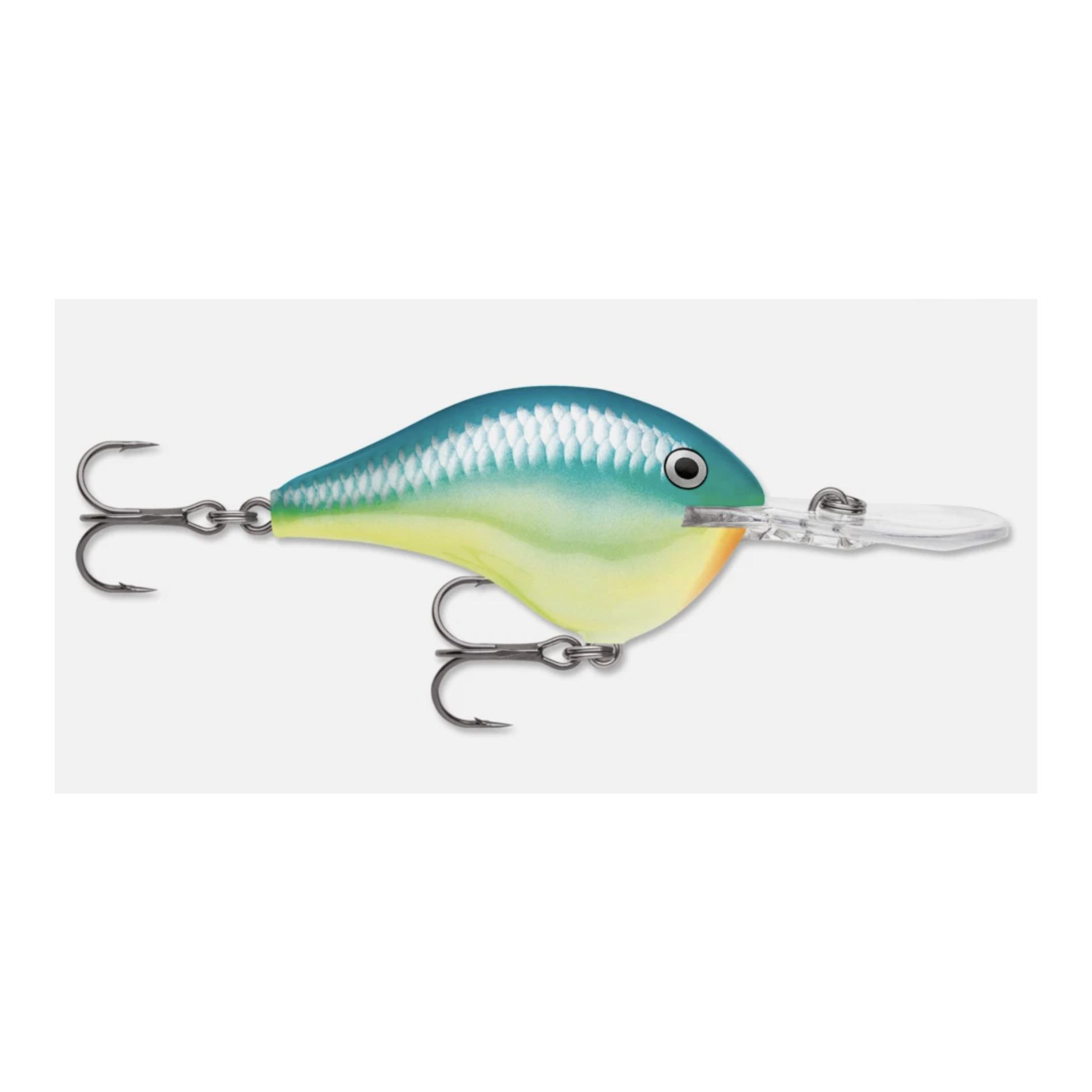 Caribbean Shad
