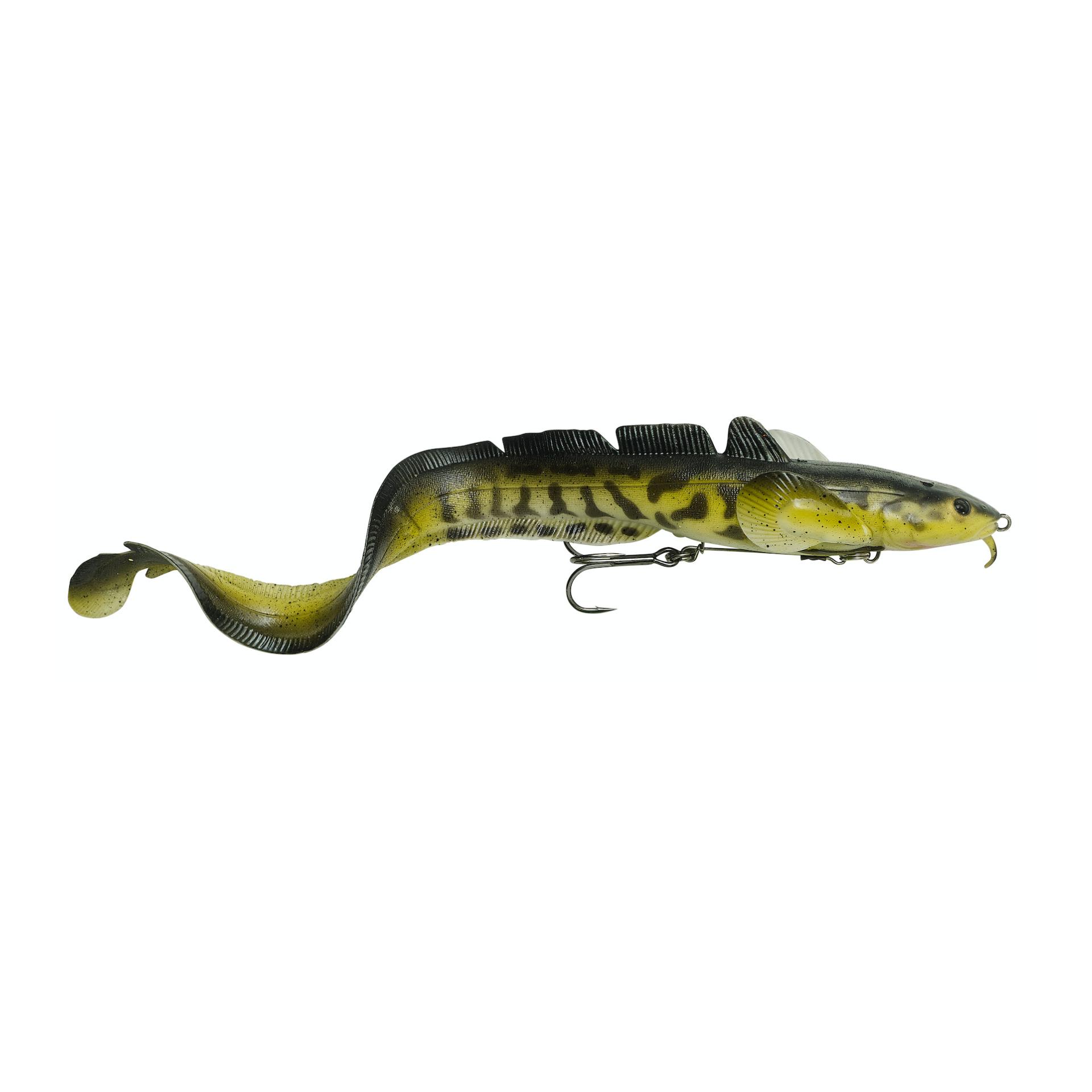 Burbot