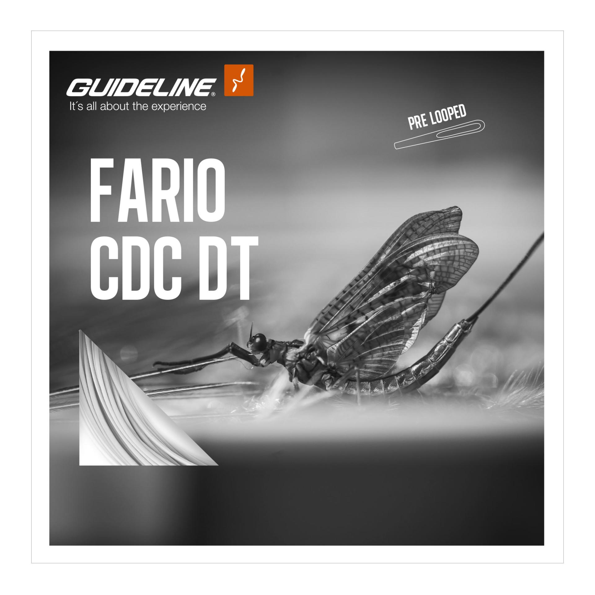 Guideline Fario CDC DT/F - Fliegenschnur