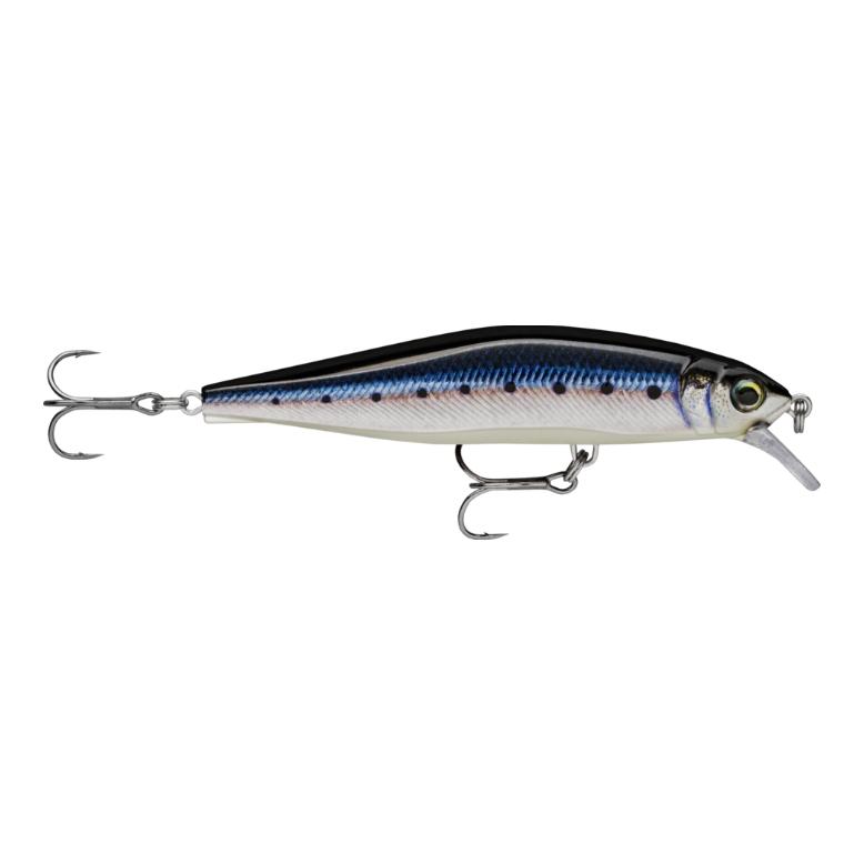 Live Blue Sardine