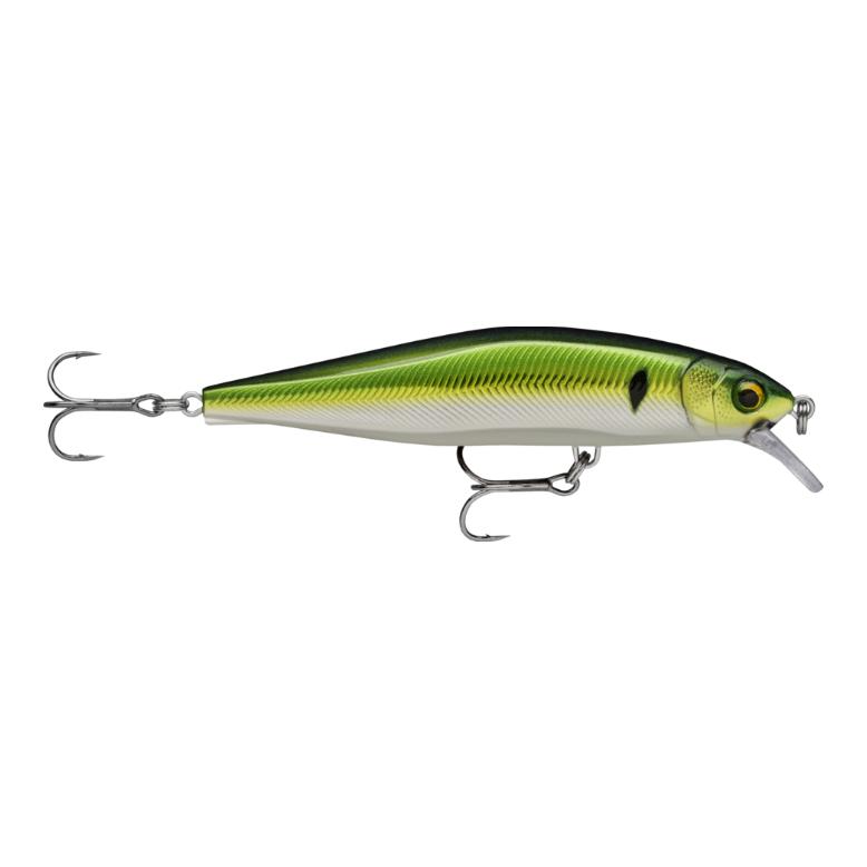 Pilchard