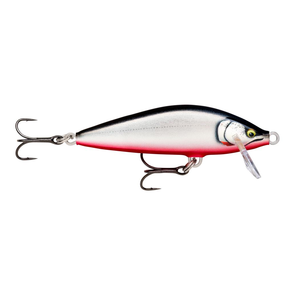 Gilded Red Belly
