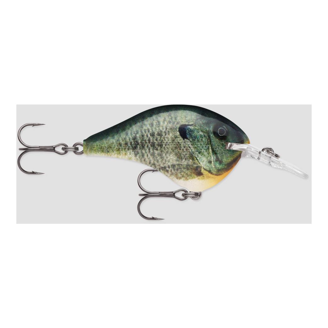 Live Bluegill