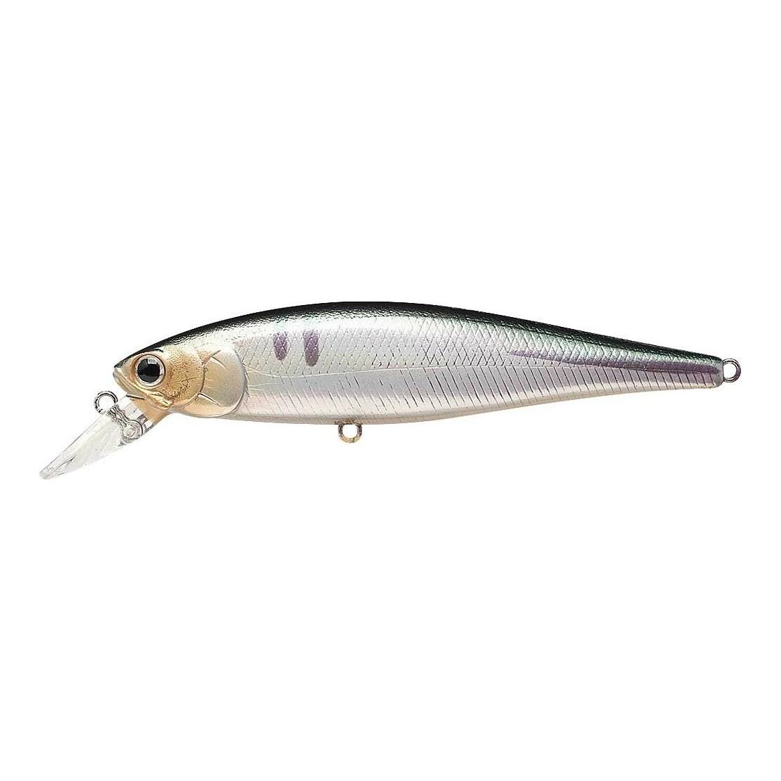 Pointer 100 SP - Wobbler