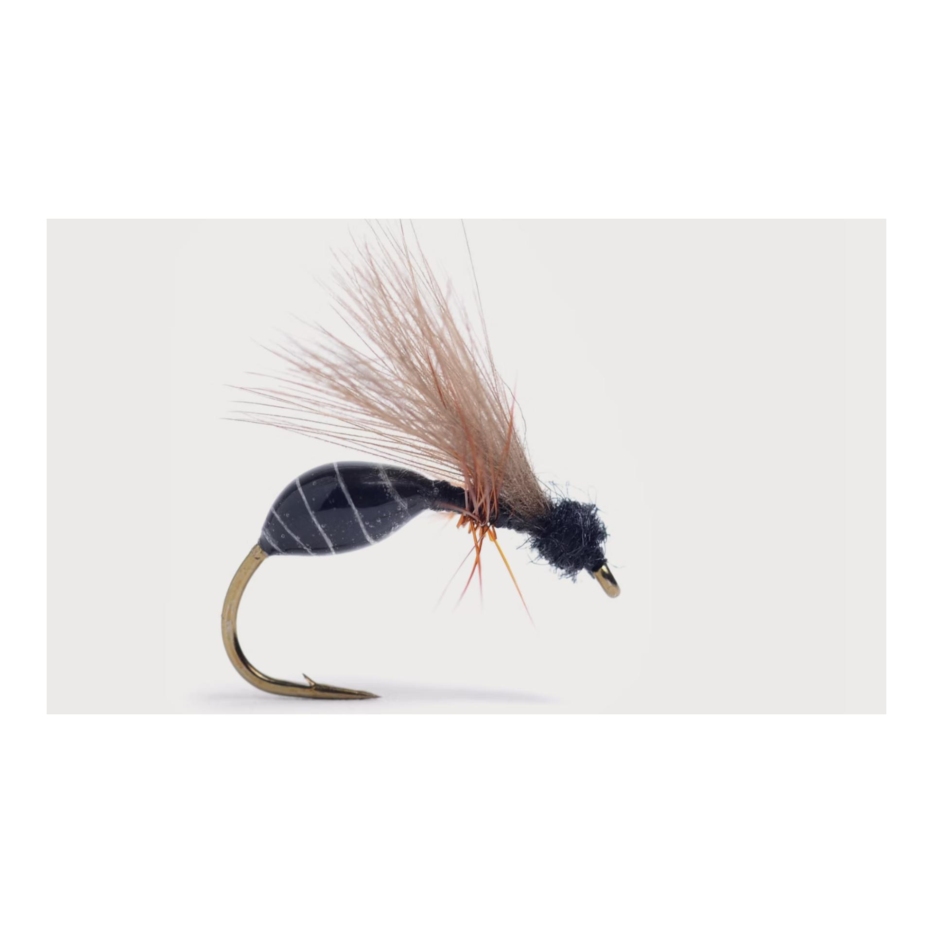 RS Glue Ant