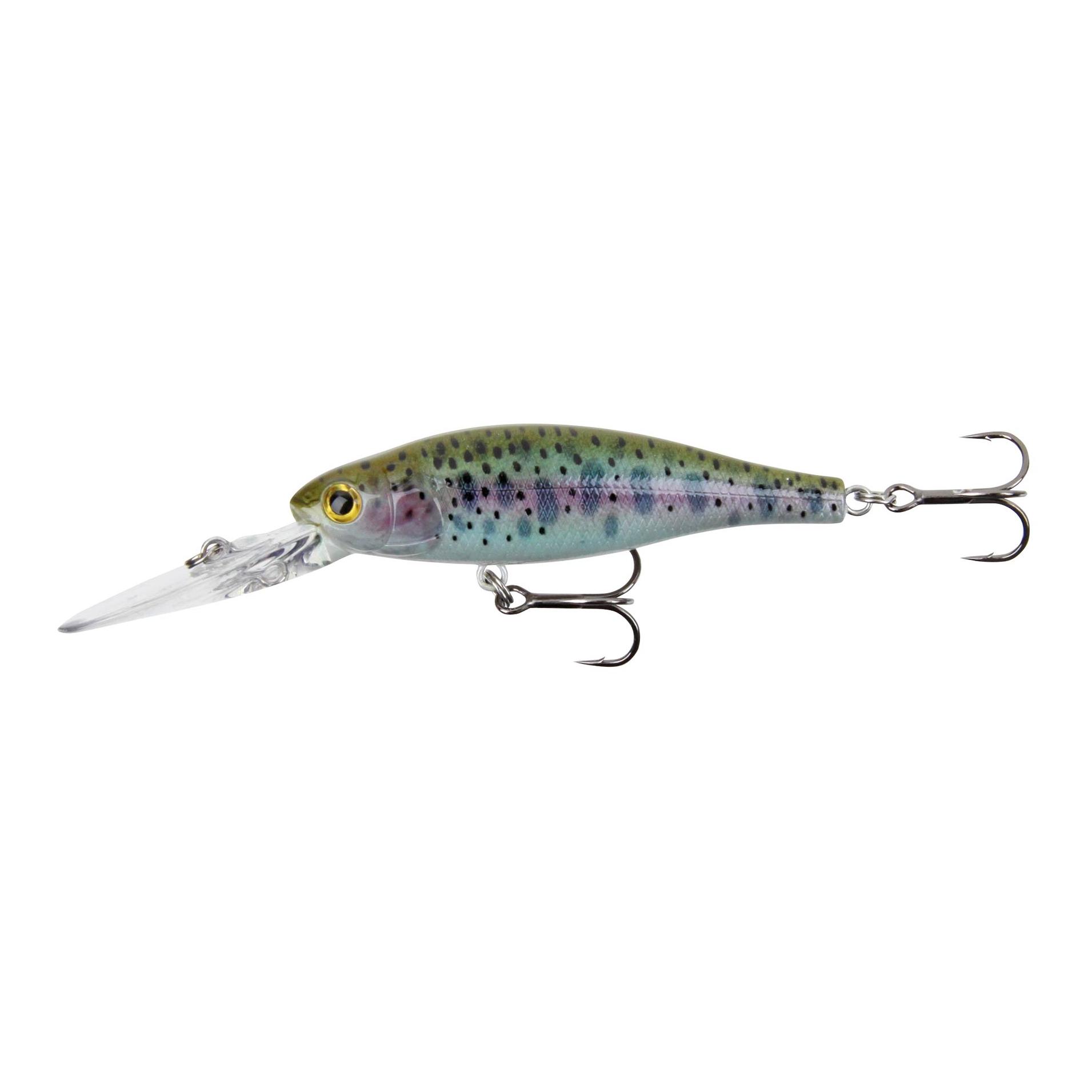 Rainbow Trout