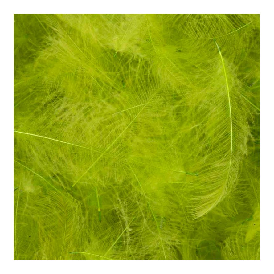 CDC Super Select Insect Green - Produktbild 1
