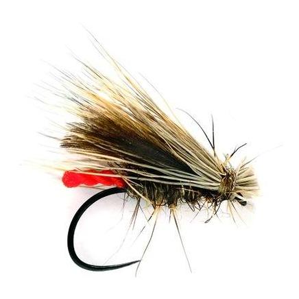 Championship Caddis o.W. - Trockenfliege
