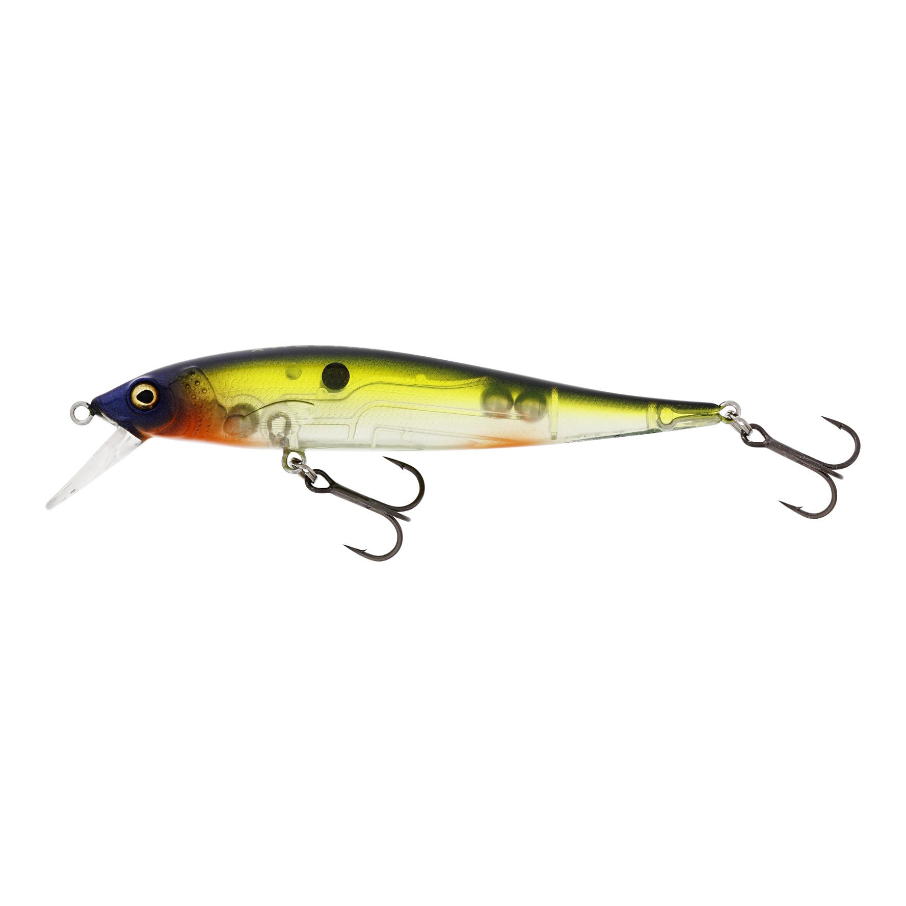 Hot Shad