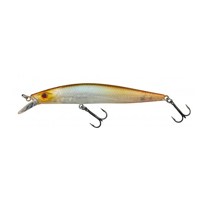 Star Minnow
