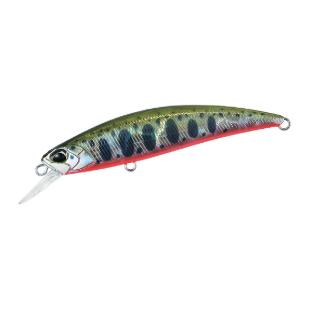 Yamame Red Belly