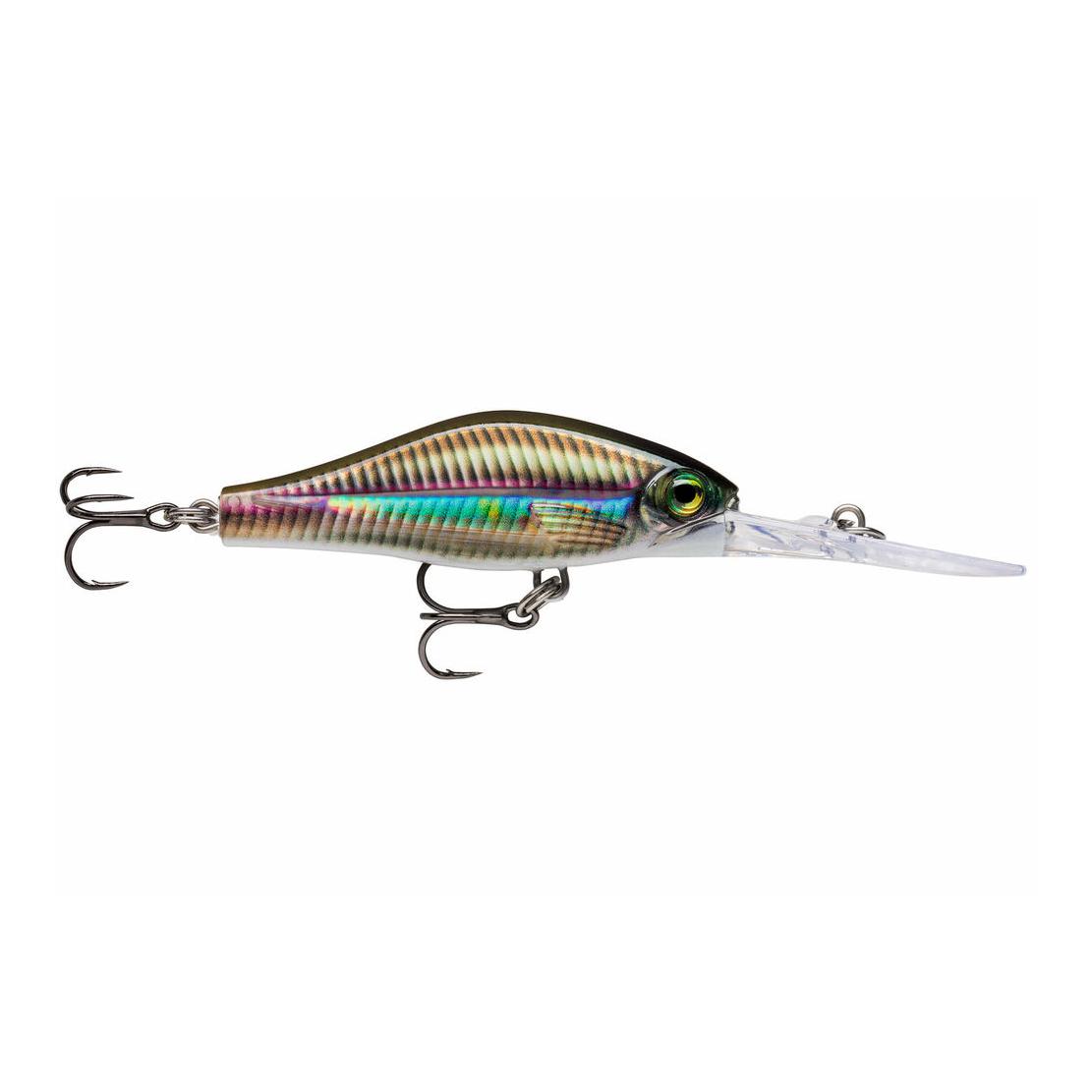 Live Smelt