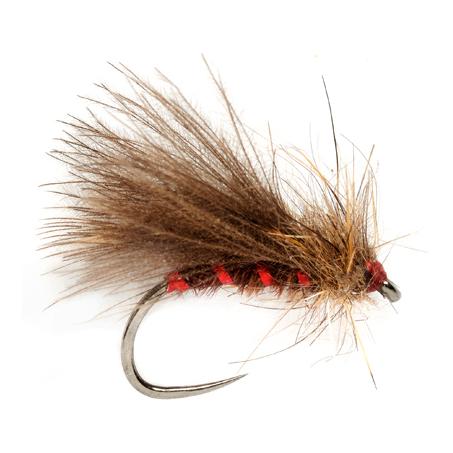 Fulling Mill Roza’s Red Rib Caddis o.W. - Trockenfliege