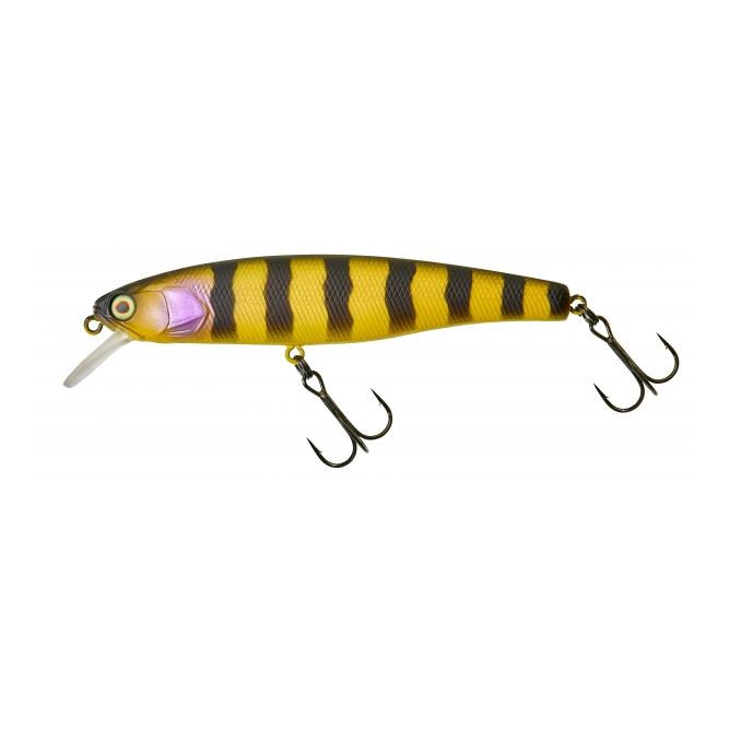 Zander Bee