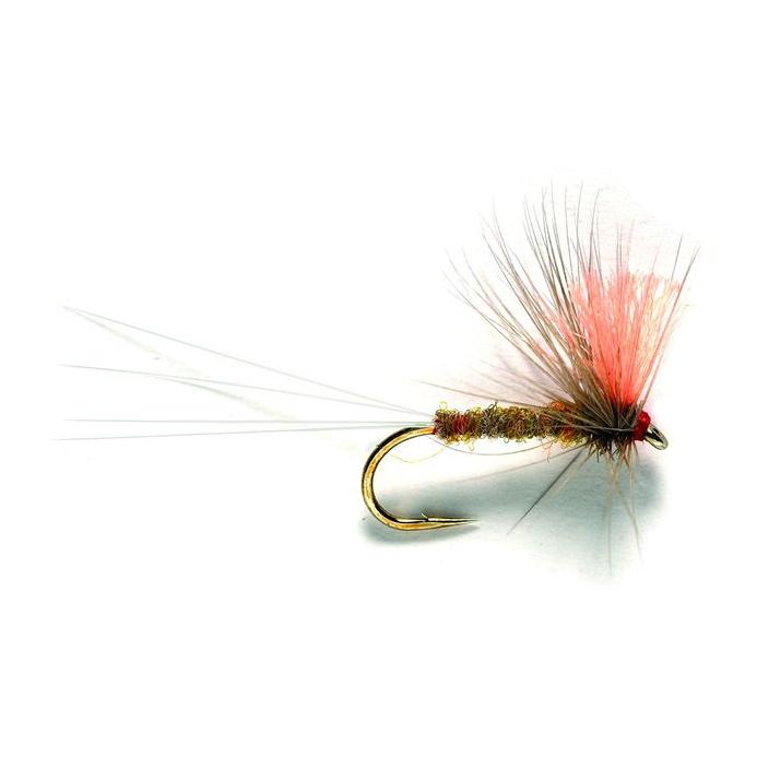Spinner Apricot - Trockenfliege - Produktbild 1