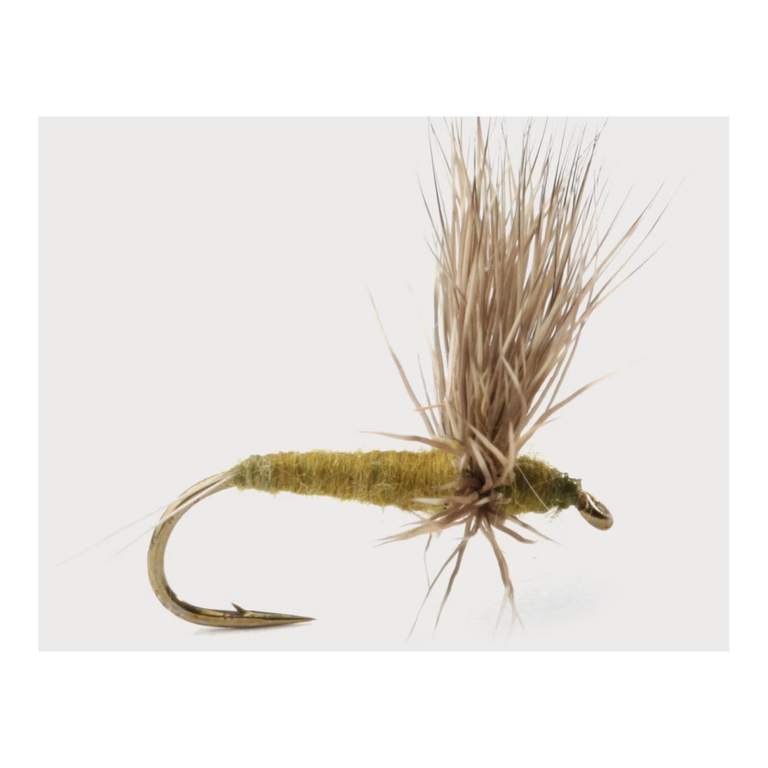 BWO