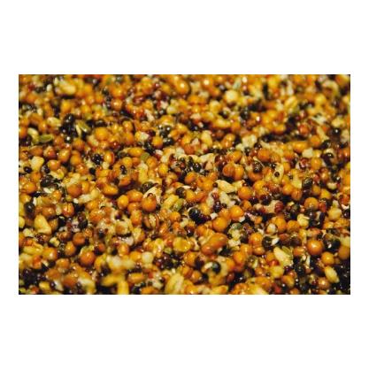 Frenzied Feeder Particles Natural - Futter Partikel - Produktbild 2