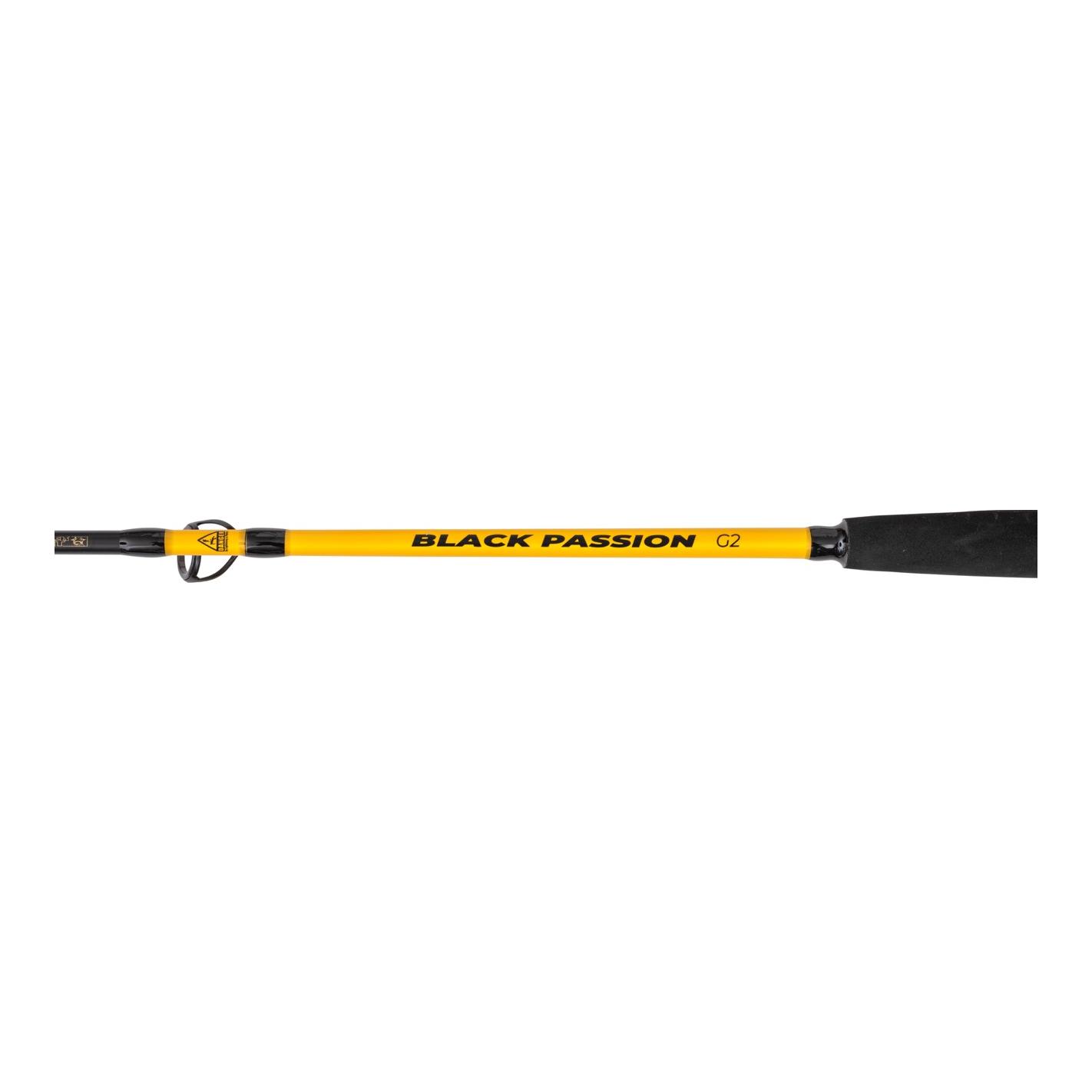 Black Cat Black Passion G2 Vertical 1,80 m – Welsrute