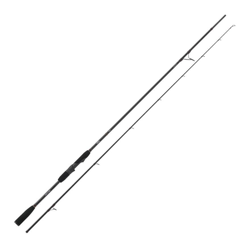 Salmo Trutta Fario