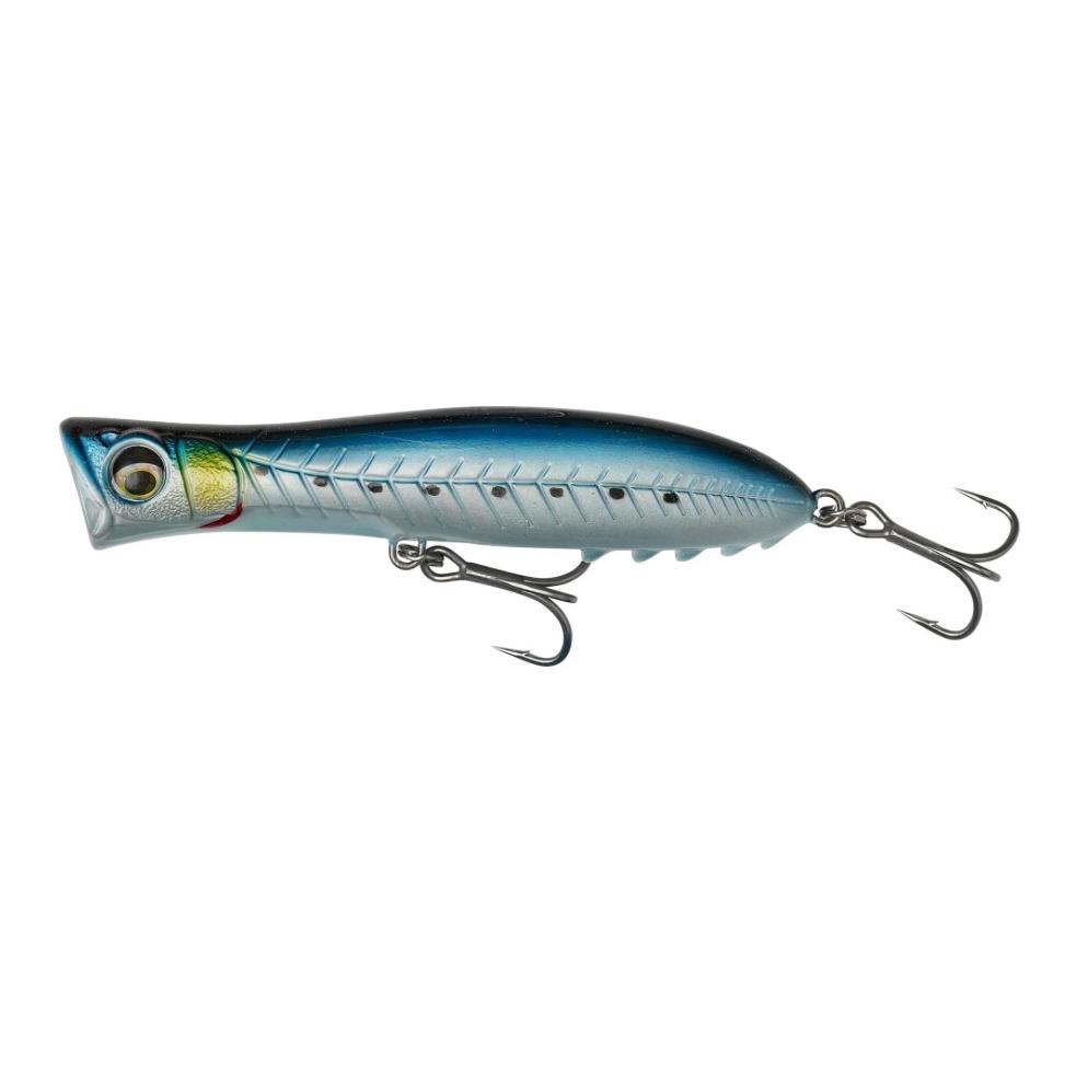 Pink Belly Sardine