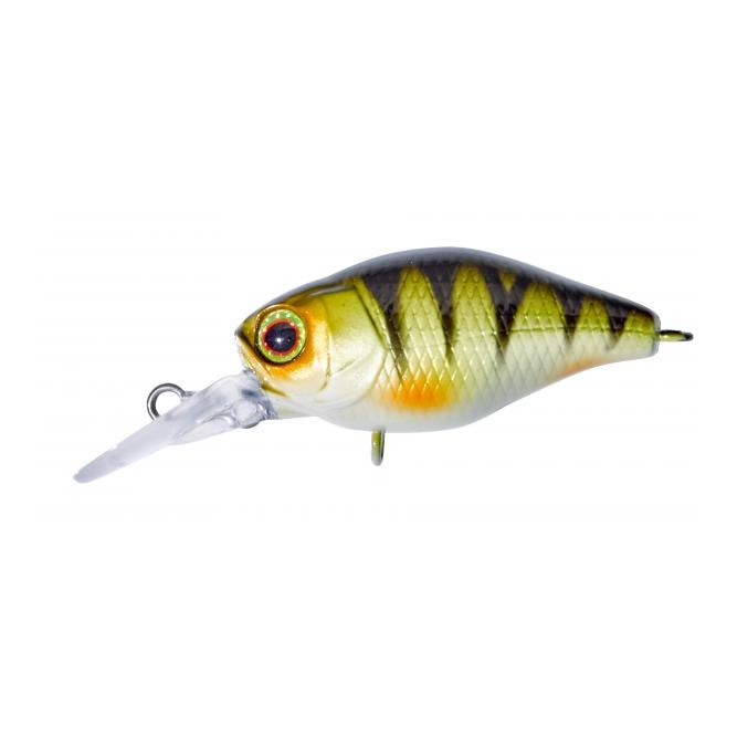 Chubby 38 MR – Poisson nageur