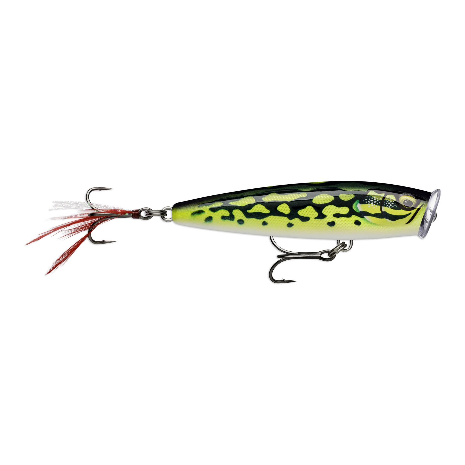 Gilded Lime Frog