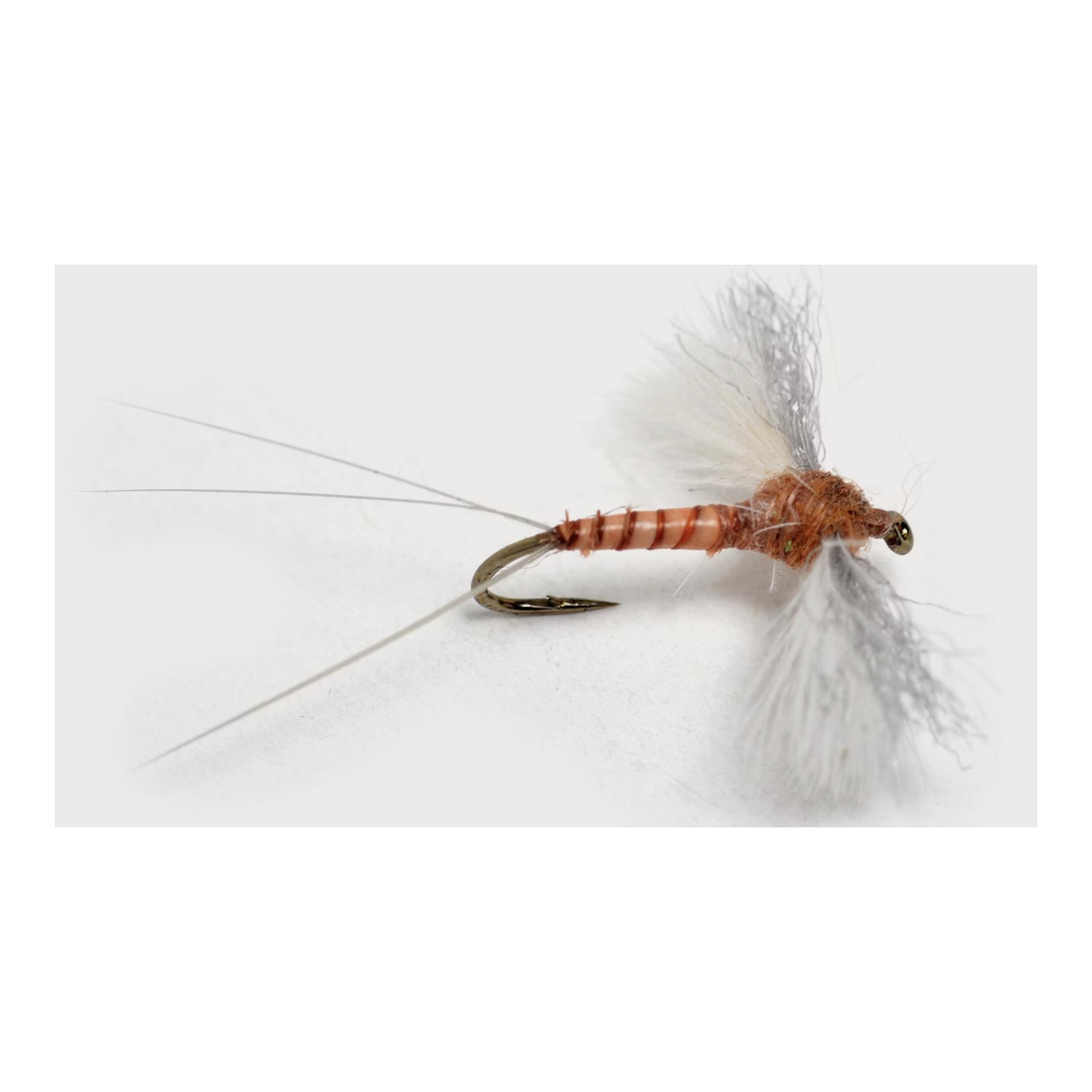 CDC Biot Spinner - Produktbild 1