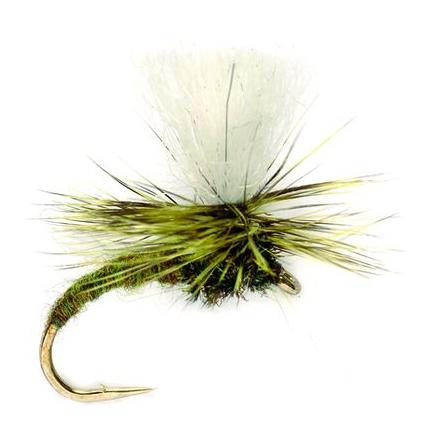Klink Lt Olive - Trockenfliege - Produktbild 1