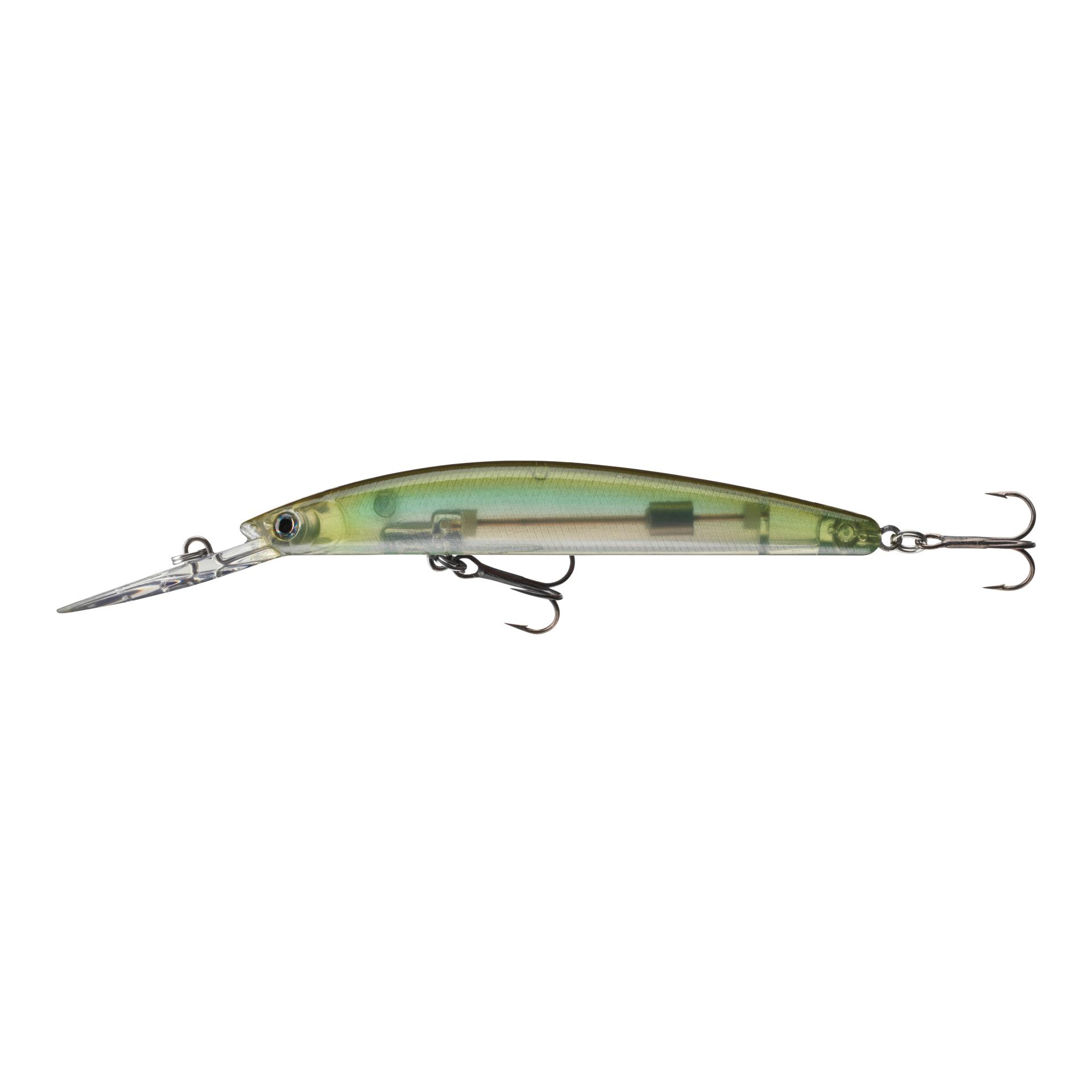 See Trough Shad