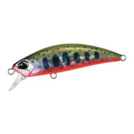 Yamame Red Belly