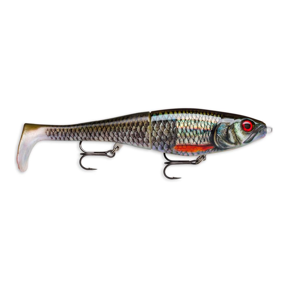 Live Roach