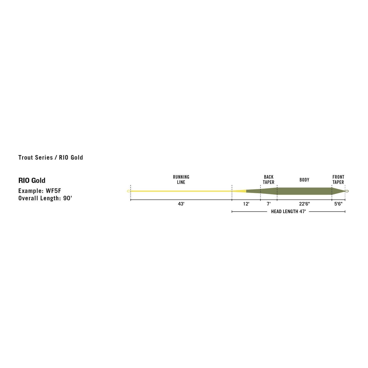 Gold Premier WF-F - Fliegenschnur - Produktbild 3