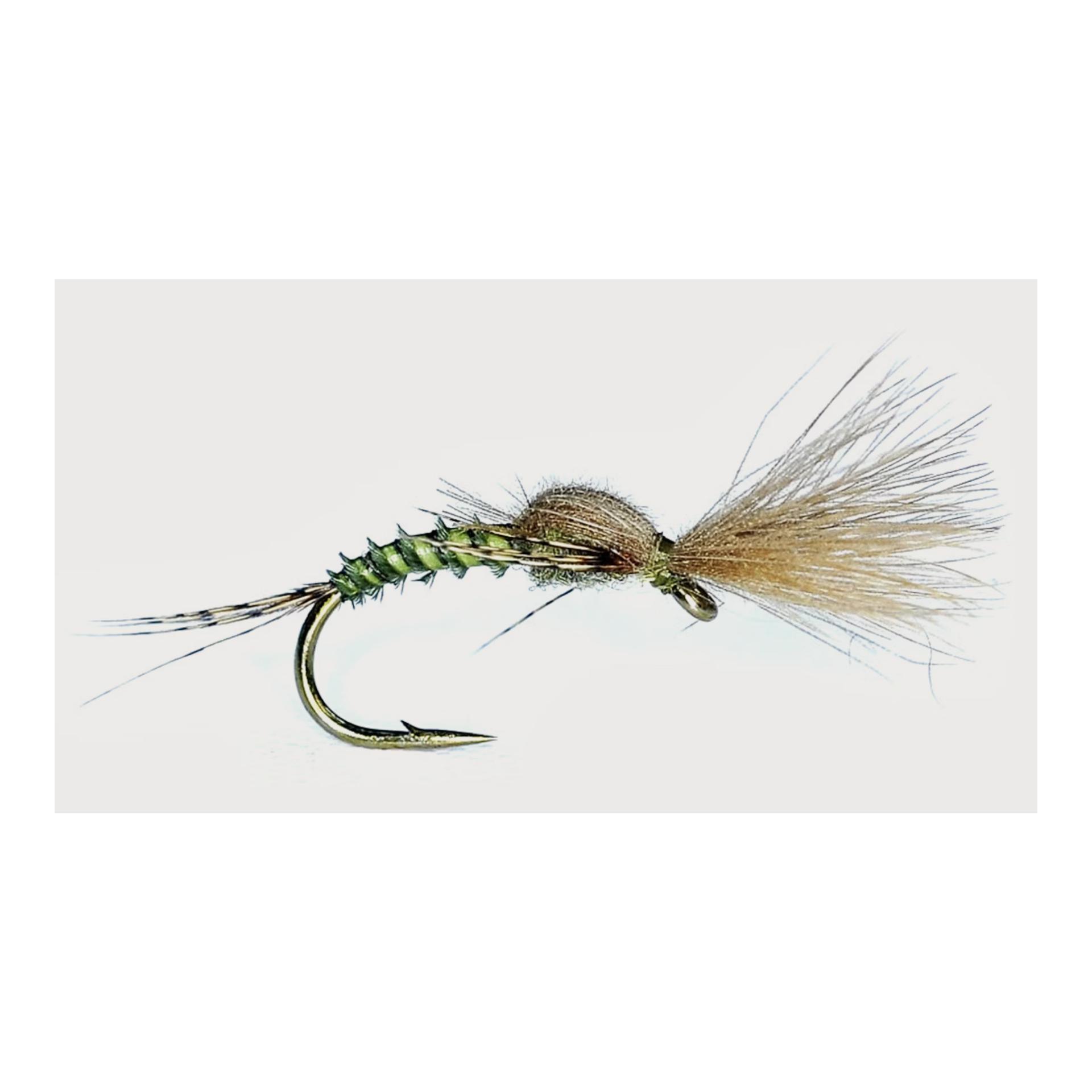 Baetis