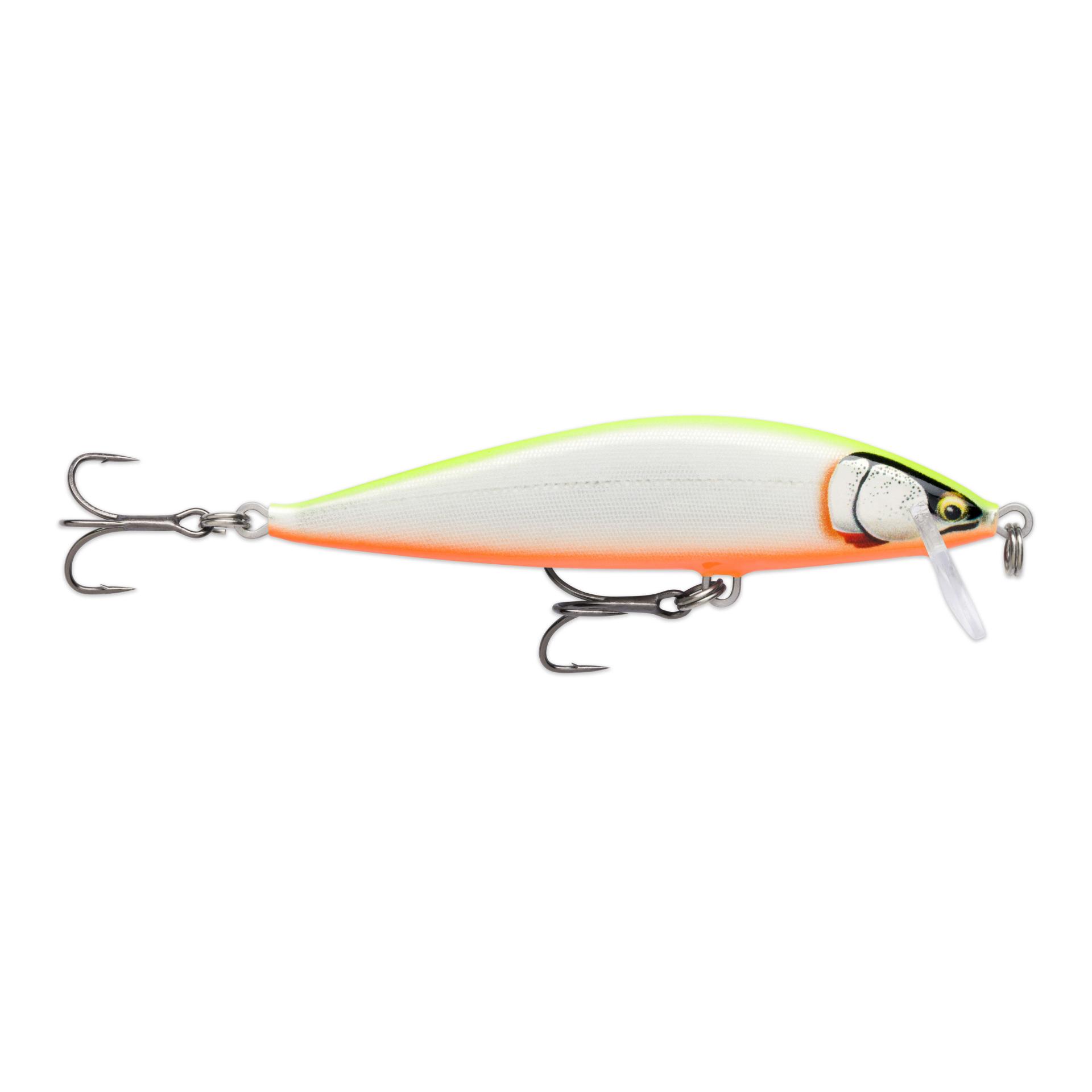Gilded Chartreuse Orange Belly