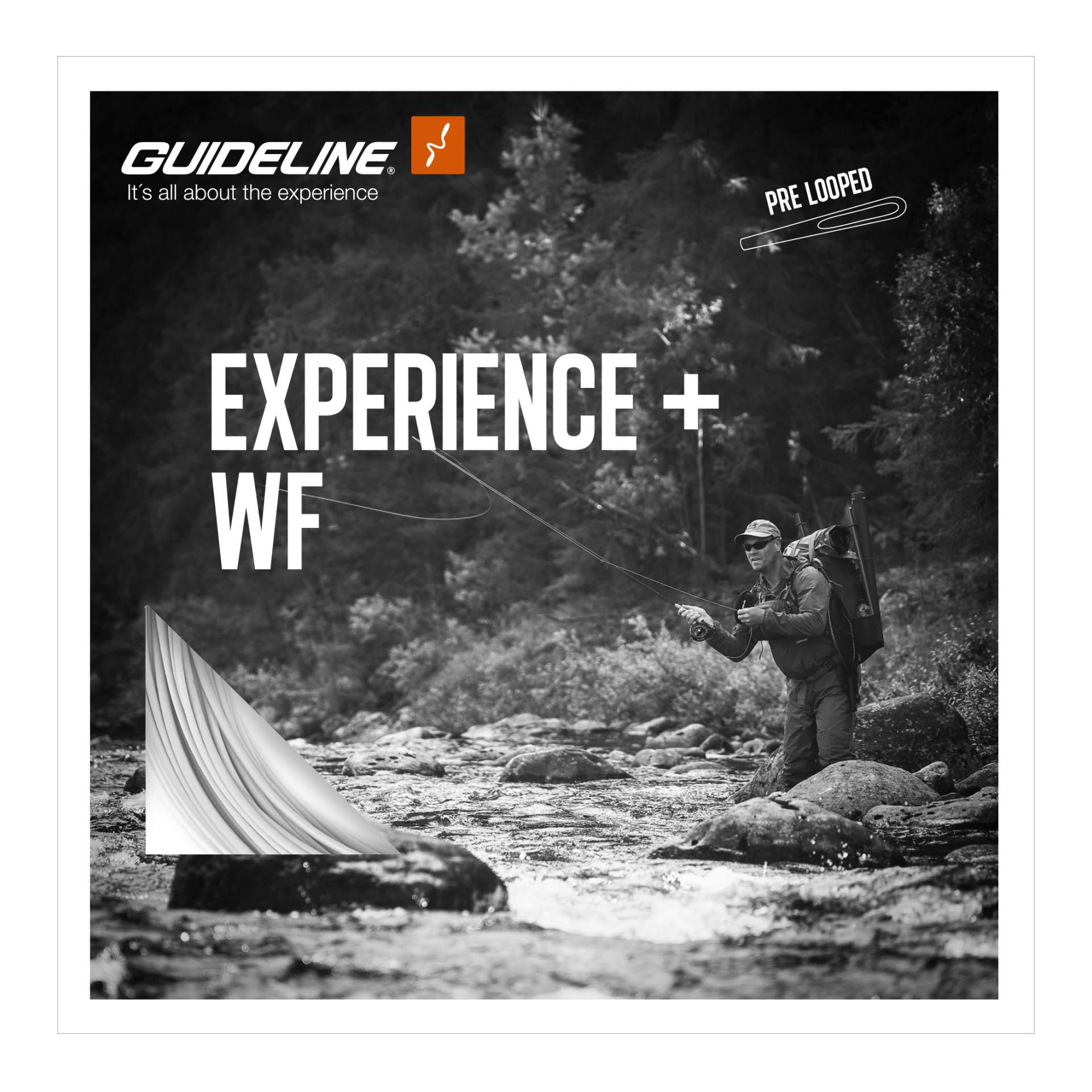 Experience+ WF/F - Fliegenschnur